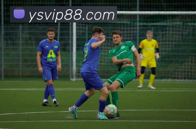 耀世娱乐官网服务体系